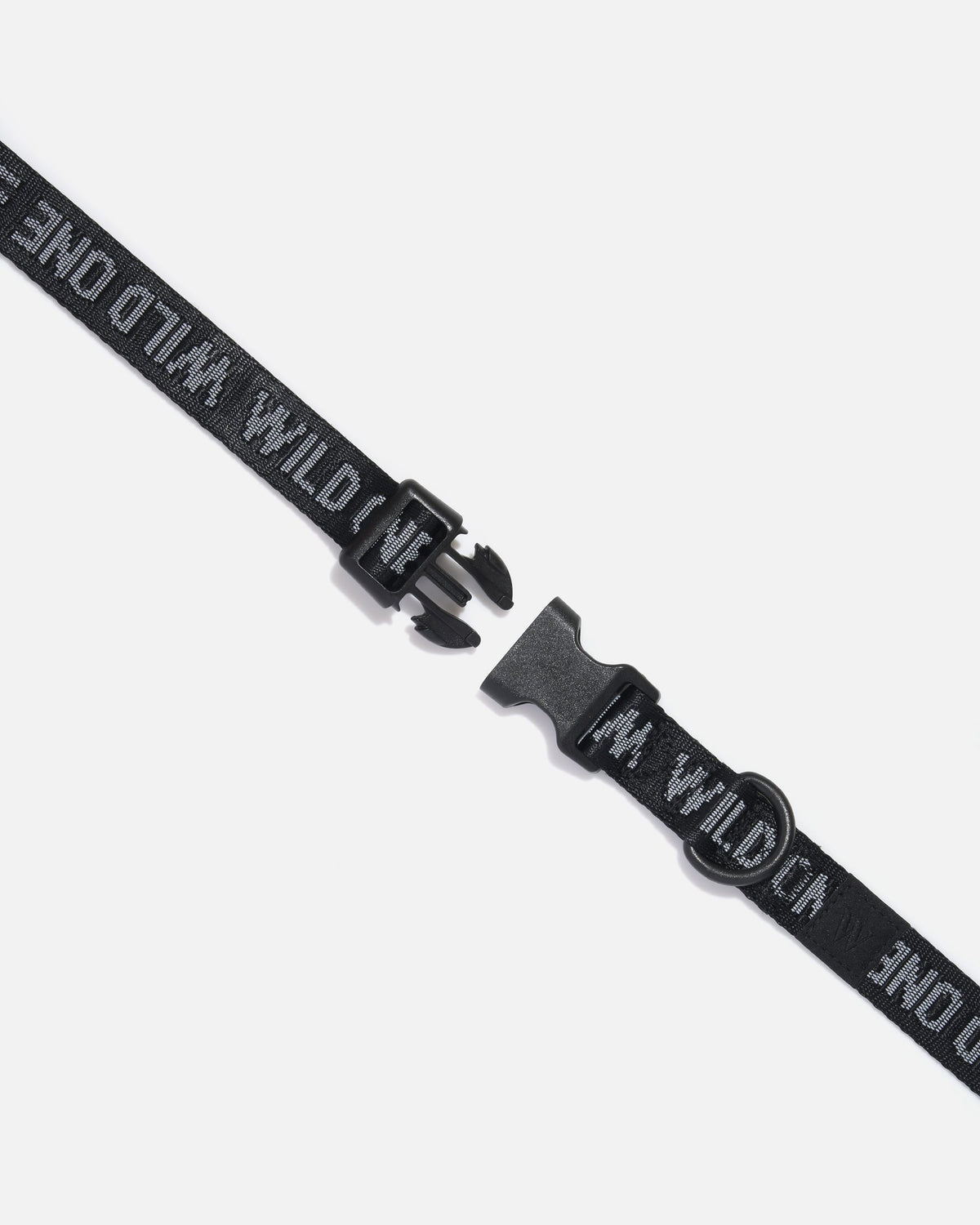 Quick-Release Dog Collar