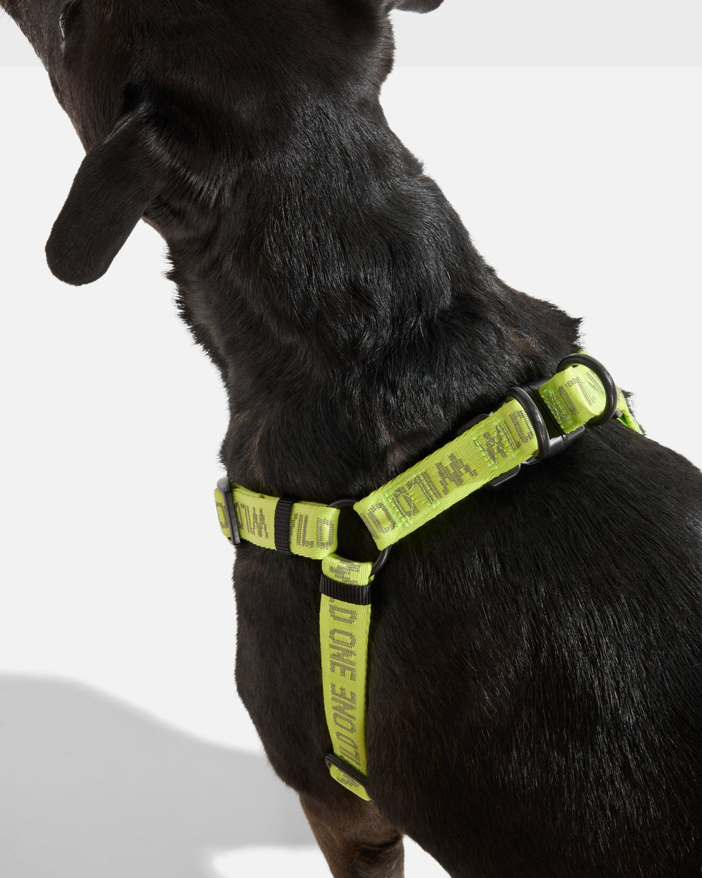 Limeade Reflective