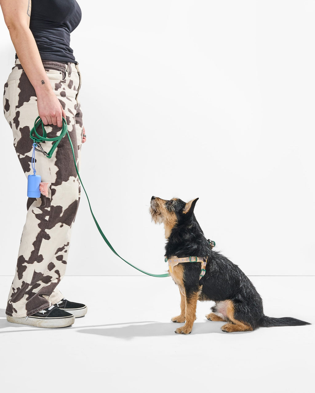 Step-In Harness + Waterproof Leash Walk Kit