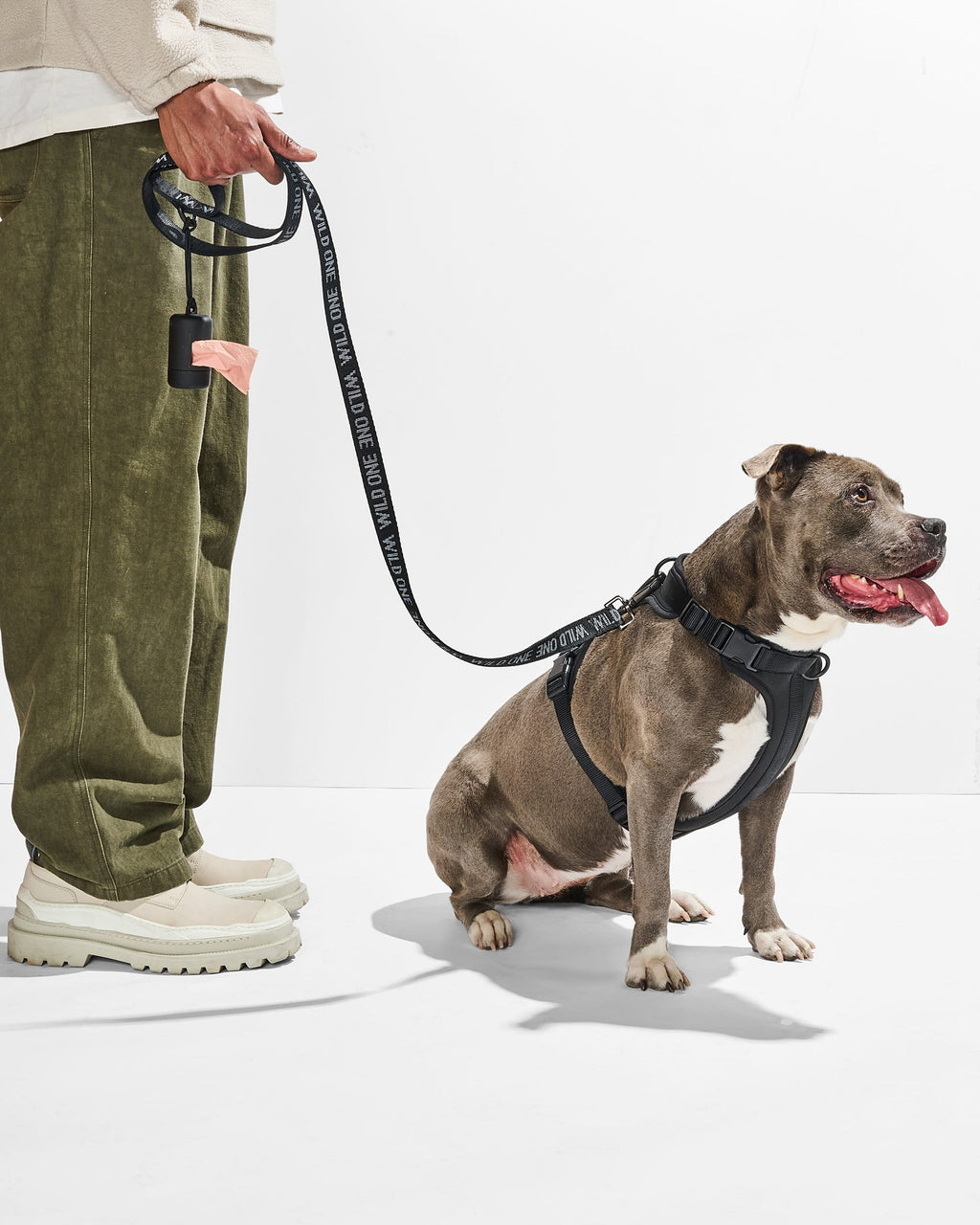 Cushioned Harness + Lightweight Leash Walk Kit
