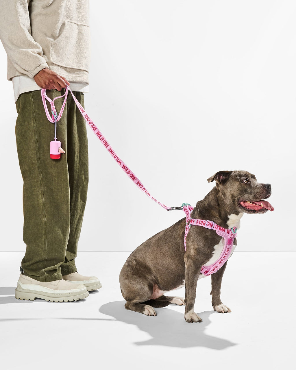 Step-In Harness + Lightweight Leash Walk Kit