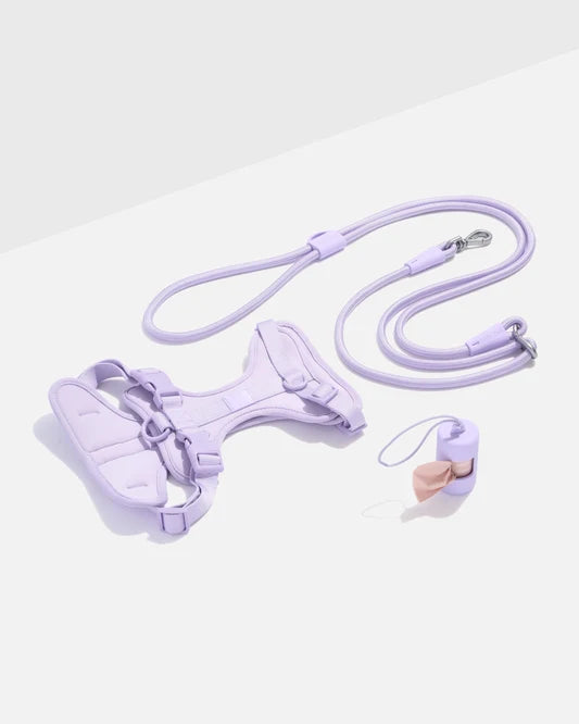 Cushioned Harness + Hands-Free Rope Leash Walk Kit